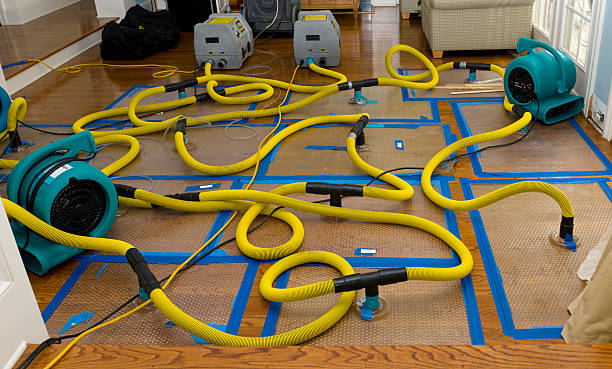Professional Basement Flood Cleanup technician working in Orangeburg, SC